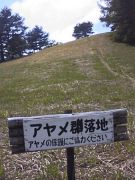 �ѓߎR�ɍ炭��