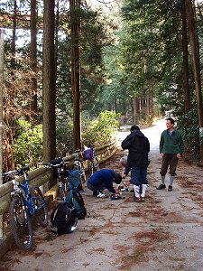 ����ѓ��̃R�[�q�[�^�C��