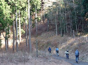 ���̌ΐ��݂̓��𑖂��s