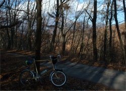 �ߗ��ʑ��n