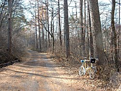 �����ѓ��E���쉷��t��