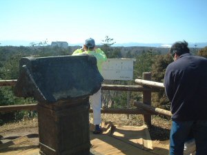 �R���̗l�q