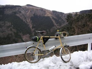 ���_���̓o��