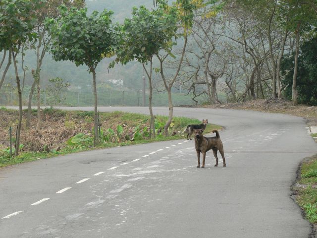 070211HKCYCLING_007.JPG - 94,428BYTES