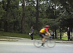 �Z���g�����p�[�N�ɂ�1